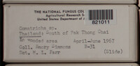 Image Associated With the Occurence